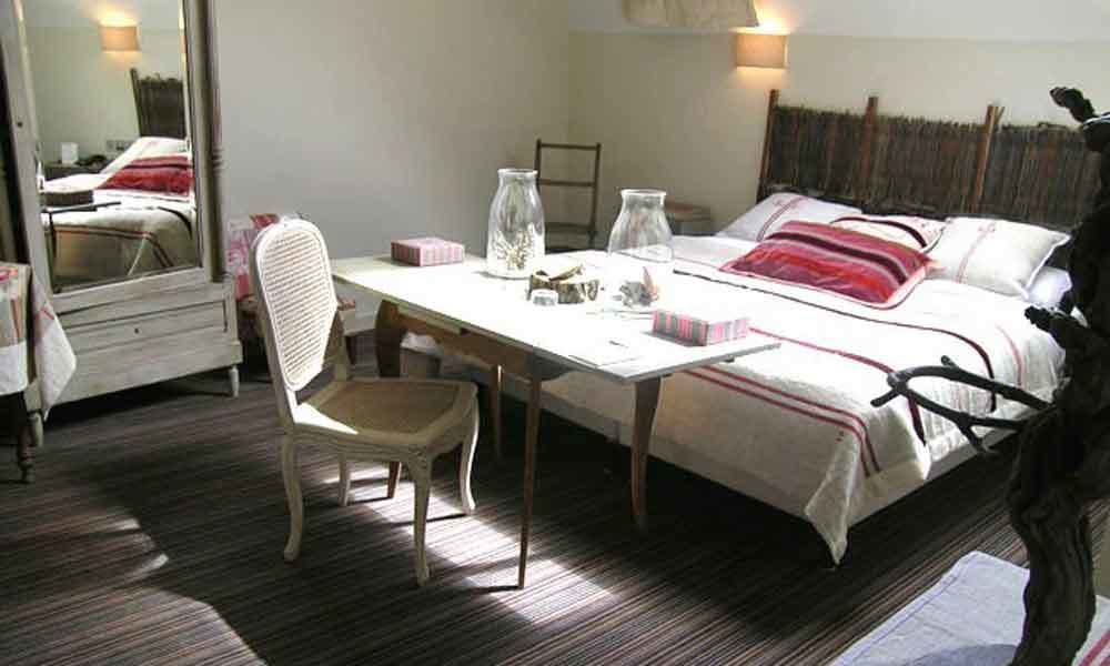 Hotel La Marine De Loire Hôtel&spa Montsoreau